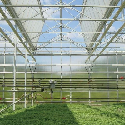 Blueberry Venlo Glass Greenhouse