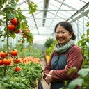 중앙 아시아를위한 중국 Venlo 유리 온실